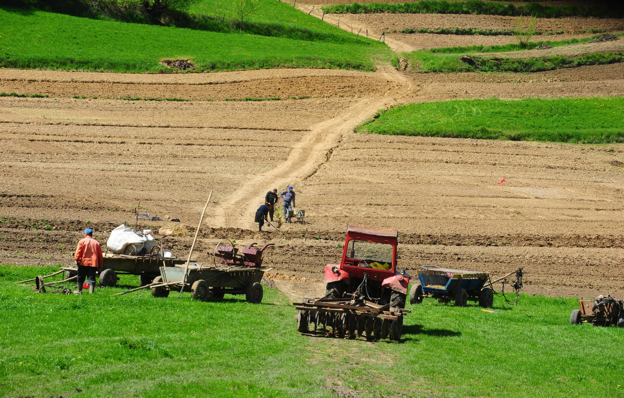 Cât costă un hectar de pământ arabil în România. Străinii, tot mai